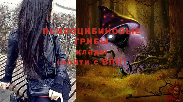 стафф Богородск