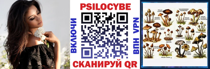 Галлюциногенные грибы Psilocybe хочу Великий Устюг